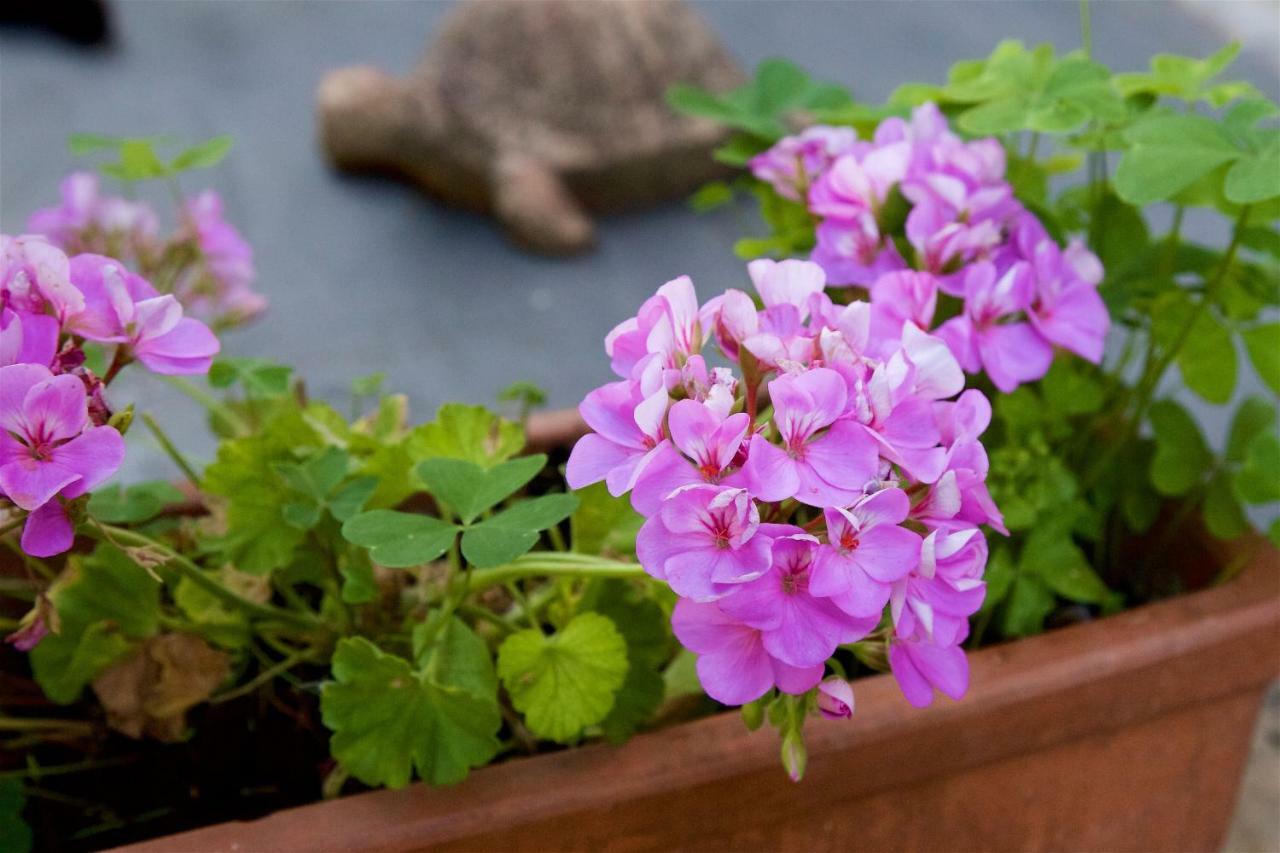 Bed & Breakfast Al Guado Di Assisi *